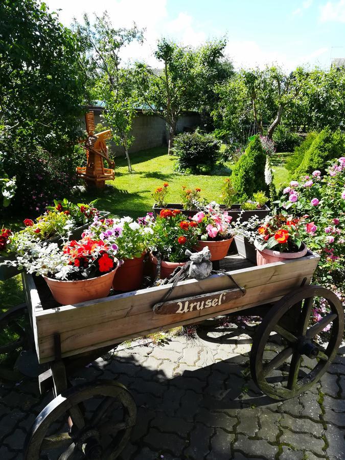 Urusel Guesthouse Tallin Zewnętrze zdjęcie